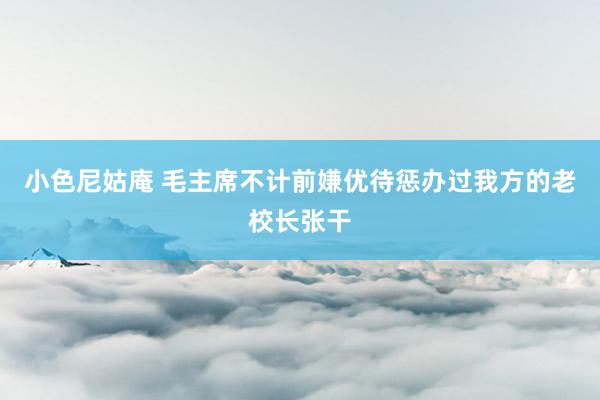 小色尼姑庵 毛主席不计前嫌优待惩办过我方的老校长张干