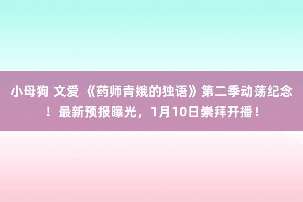 小母狗 文爱 《药师青娥的独语》第二季动荡纪念！最新预报曝光，1月10日崇拜开播！