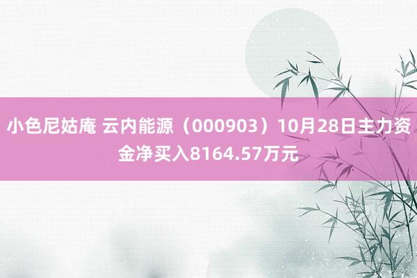 小色尼姑庵 云内能源（000903）10月28日主力资金净买入8164.57万元