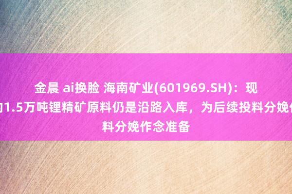 金晨 ai换脸 海南矿业(601969.SH)：现在入口的1.5万吨锂精矿原料仍是沿路入库，为后续投料分娩作念准备
