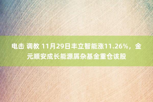 电击 调教 11月29日丰立智能涨11.26%，金元顺安成长能源羼杂基金重仓该股