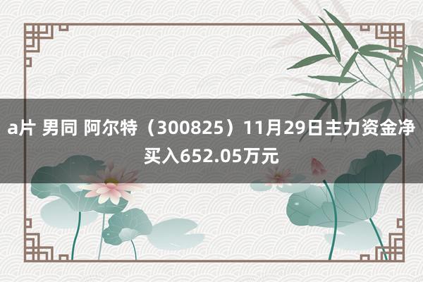 a片 男同 阿尔特（300825）11月29日主力资金净买入652.05万元