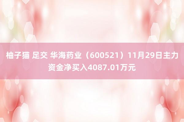 柚子猫 足交 华海药业（600521）11月29日主力资金净买入4087.01万元