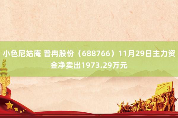 小色尼姑庵 普冉股份（688766）11月29日主力资金净卖出1973.29万元