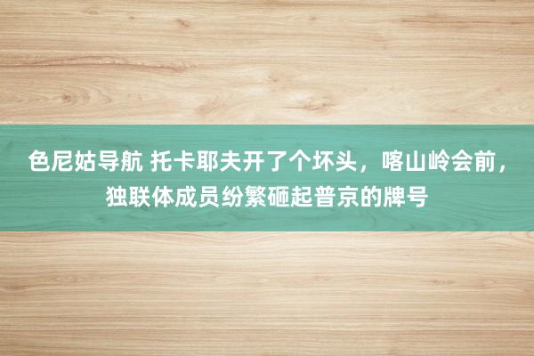 色尼姑导航 托卡耶夫开了个坏头，喀山岭会前，独联体成员纷繁砸起普京的牌号