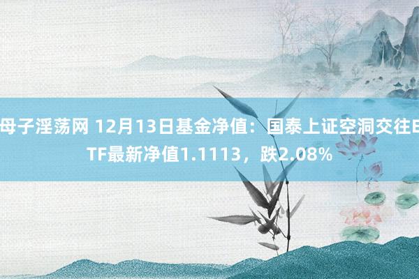 母子淫荡网 12月13日基金净值：国泰上证空洞交往ETF最新净值1.1113，跌2.08%
