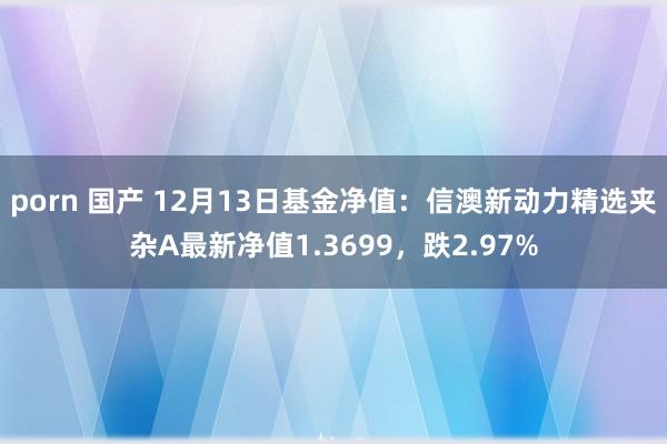 porn 国产 12月13日基金净值：信澳新动力精选夹杂A最新净值1.3699，跌2.97%