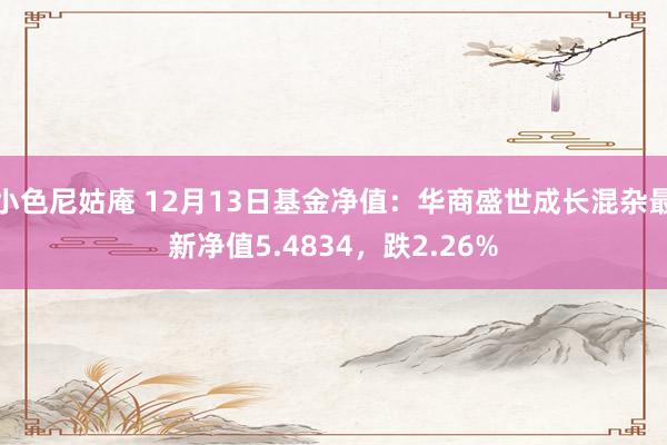 小色尼姑庵 12月13日基金净值：华商盛世成长混杂最新净值5.4834，跌2.26%