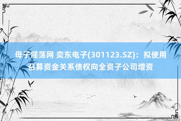 母子淫荡网 奕东电子(301123.SZ)：拟使用召募资金关系债权向全资子公司增资