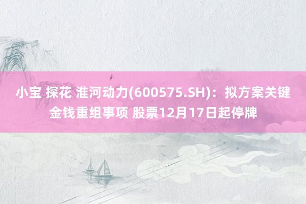 小宝 探花 淮河动力(600575.SH)：拟方案关键金钱重组事项 股票12月17日起停牌