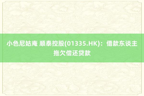 小色尼姑庵 顺泰控股(01335.HK)：借款东谈主拖欠偿还贷款