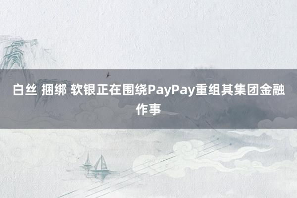 白丝 捆绑 软银正在围绕PayPay重组其集团金融作事