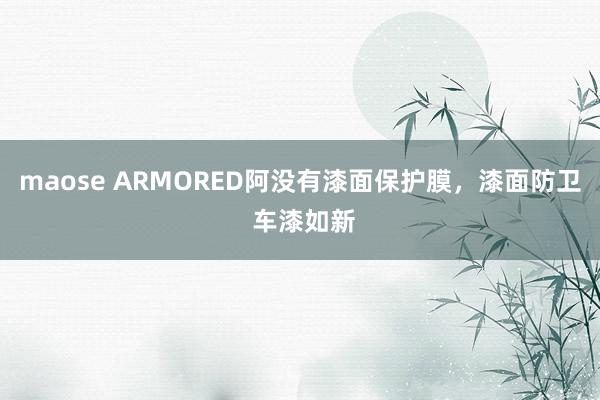 maose ARMORED阿没有漆面保护膜，漆面防卫 车漆如新