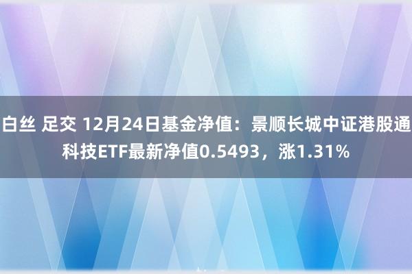 白丝 足交 12月24日基金净值：景顺长城中证港股通科技ETF最新净值0.5493，涨1.31%