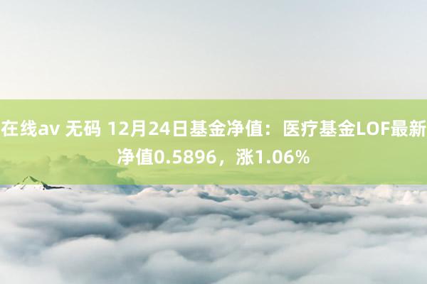 在线av 无码 12月24日基金净值：医疗基金LOF最新净值0.5896，涨1.06%
