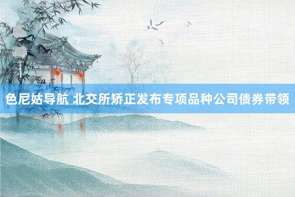 色尼姑导航 北交所矫正发布专项品种公司债券带领