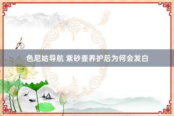 色尼姑导航 紫砂壶养护后为何会发白