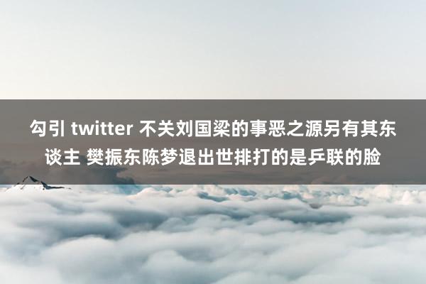 勾引 twitter 不关刘国梁的事恶之源另有其东谈主 樊振东陈梦退出世排打的是乒联的脸
