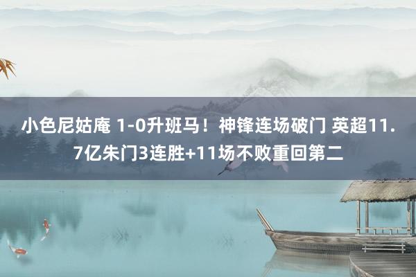 小色尼姑庵 1-0升班马！神锋连场破门 英超11.7亿朱门3连胜+11场不败重回第二