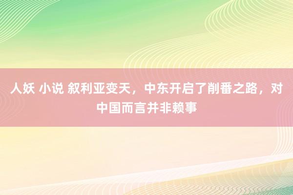 人妖 小说 叙利亚变天，中东开启了削番之路，对中国而言并非赖事