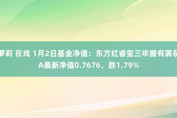 萝莉 在线 1月2日基金净值：东方红睿玺三年握有羼杂A最新净值0.7676，跌1.79%