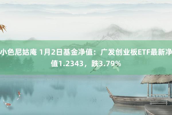 小色尼姑庵 1月2日基金净值：广发创业板ETF最新净值1.2343，跌3.79%