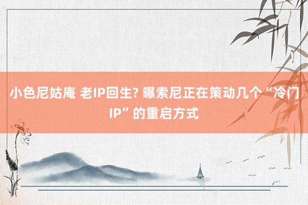 小色尼姑庵 老IP回生? 曝索尼正在策动几个“冷门IP”的重启方式