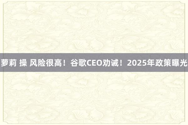 萝莉 操 风险很高！谷歌CEO劝诫！2025年政策曝光