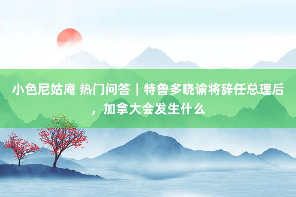 小色尼姑庵 热门问答｜特鲁多晓谕将辞任总理后，加拿大会发生什么