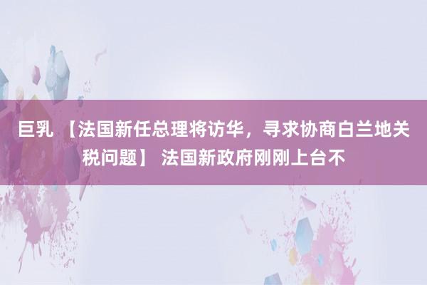 巨乳 【法国新任总理将访华，寻求协商白兰地关税问题】 法国新政府刚刚上台不