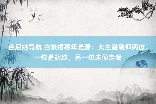 色尼姑导航 白崇禧暮年走漏：此生最敬仰两位，一位是胡琏，另一位未便走漏