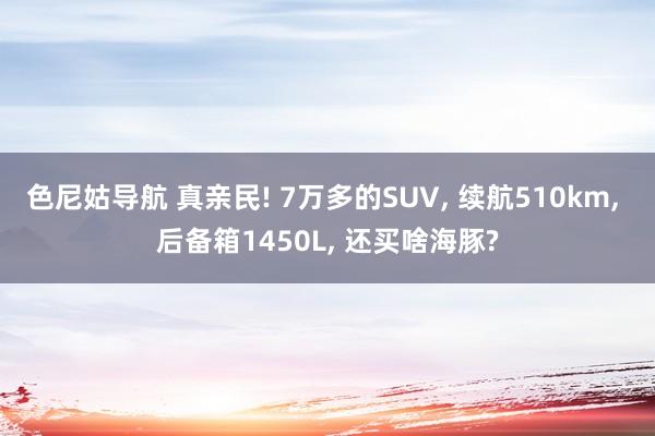 色尼姑导航 真亲民! 7万多的SUV， 续航510km， 后备箱1450L， 还买啥海豚?