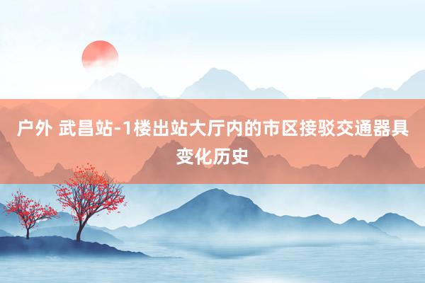 户外 武昌站-1楼出站大厅内的市区接驳交通器具变化历史