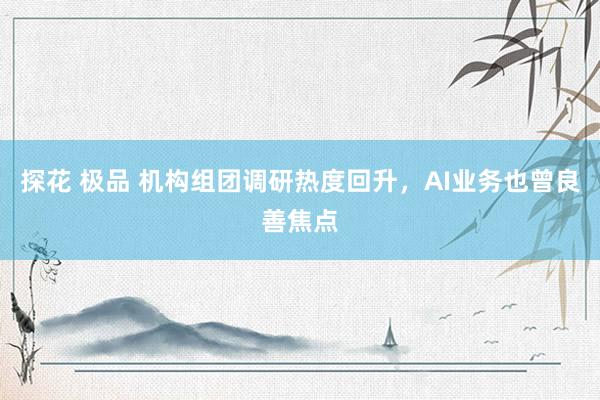 探花 极品 机构组团调研热度回升，AI业务也曾良善焦点