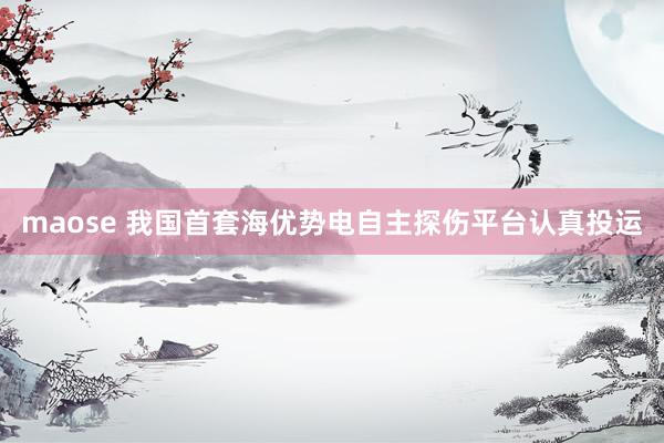 maose 我国首套海优势电自主探伤平台认真投运