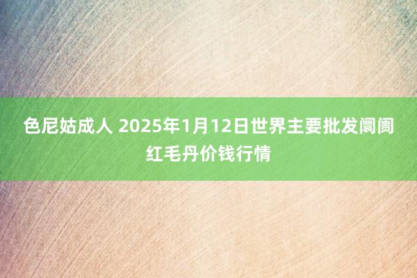 色尼姑成人 2025年1月12日世界主要批发阛阓红毛丹价钱行情