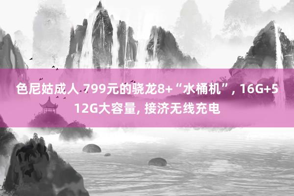 色尼姑成人 799元的骁龙8+“水桶机”， 16G+512G大容量， 接济无线充电