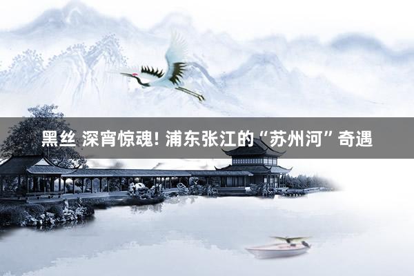 黑丝 深宵惊魂! 浦东张江的“苏州河”奇遇