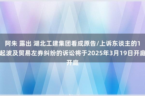 阿朱 露出 湖北工建集团看成原告/上诉东谈主的1起波及贸易左券纠纷的诉讼将于2025年3月19日开庭