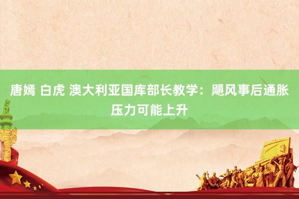 唐嫣 白虎 澳大利亚国库部长教学：飓风事后通胀压力可能上升