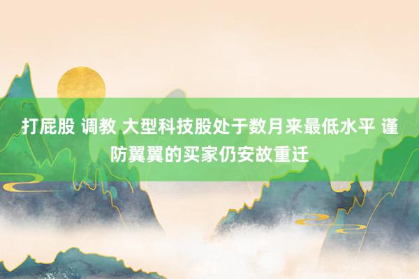 打屁股 调教 大型科技股处于数月来最低水平 谨防翼翼的买家仍安故重迁