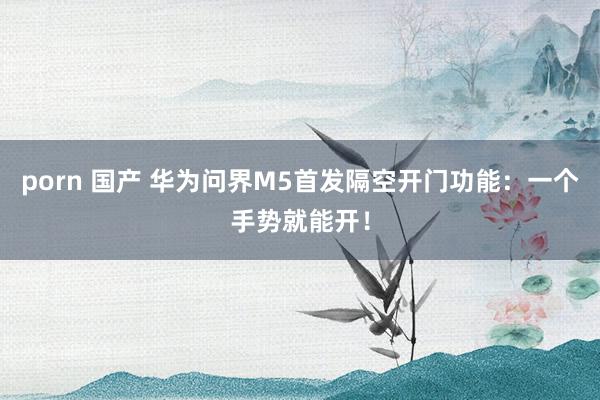 porn 国产 华为问界M5首发隔空开门功能：一个手势就能开！