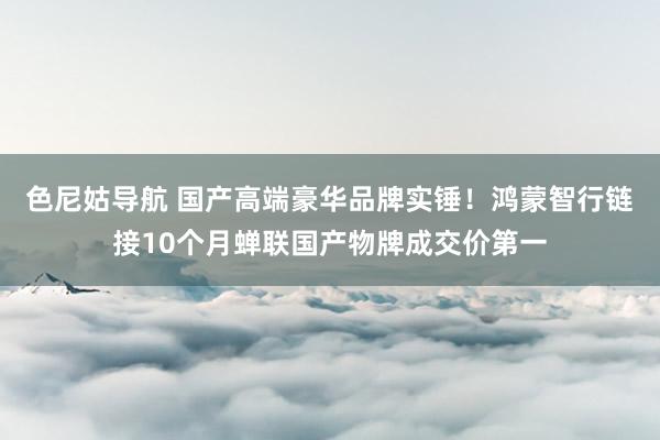 色尼姑导航 国产高端豪华品牌实锤！鸿蒙智行链接10个月蝉联国产物牌成交价第一