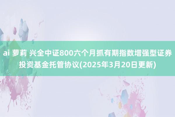ai 萝莉 兴全中证800六个月抓有期指数增强型证券投资基金托管协议(2025年3月20日更新)