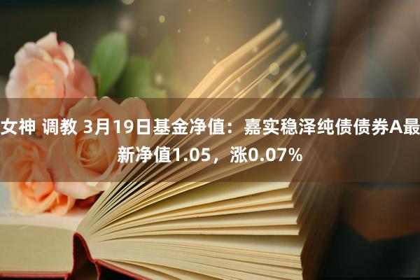 女神 调教 3月19日基金净值：嘉实稳泽纯债债券A最新净值1.05，涨0.07%