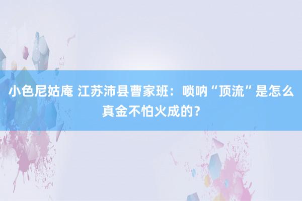小色尼姑庵 江苏沛县曹家班：唢呐“顶流”是怎么真金不怕火成的？