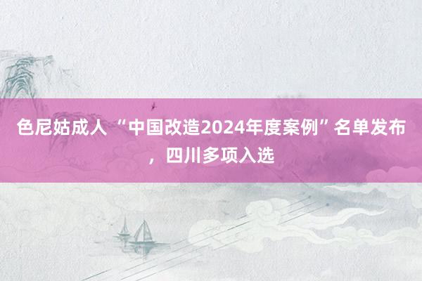 色尼姑成人 “中国改造2024年度案例”名单发布，四川多项入选