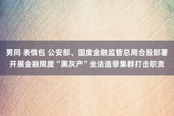 男同 表情包 公安部、国度金融监管总局合股部署开展金融限度“黑灰产”坐法造孽集群打击职责