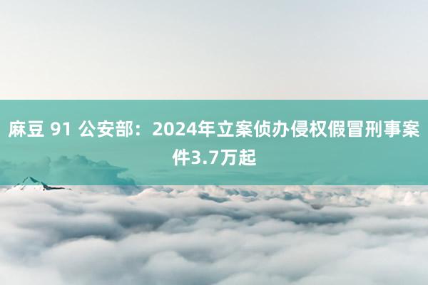 麻豆 91 公安部：2024年立案侦办侵权假冒刑事案件3.7万起