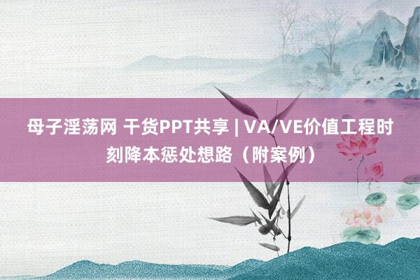 母子淫荡网 干货PPT共享 | VA/VE价值工程时刻降本惩处想路（附案例）